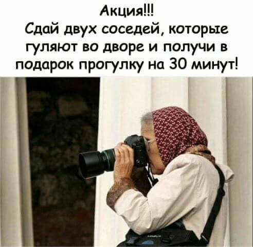 Акция Сдай двух соседей которые гуляют во дворе и получи в подарок прогулку на 30 минут