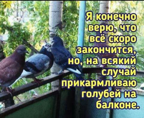 каичицс 1 из