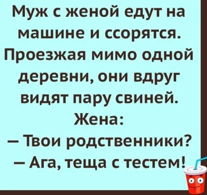 Муж с женой едут на машине и ссорятся Проезжая мимо одной деревни они вдруг видят пару свиней Жена Твои родственники Ага теща с тестем _Н