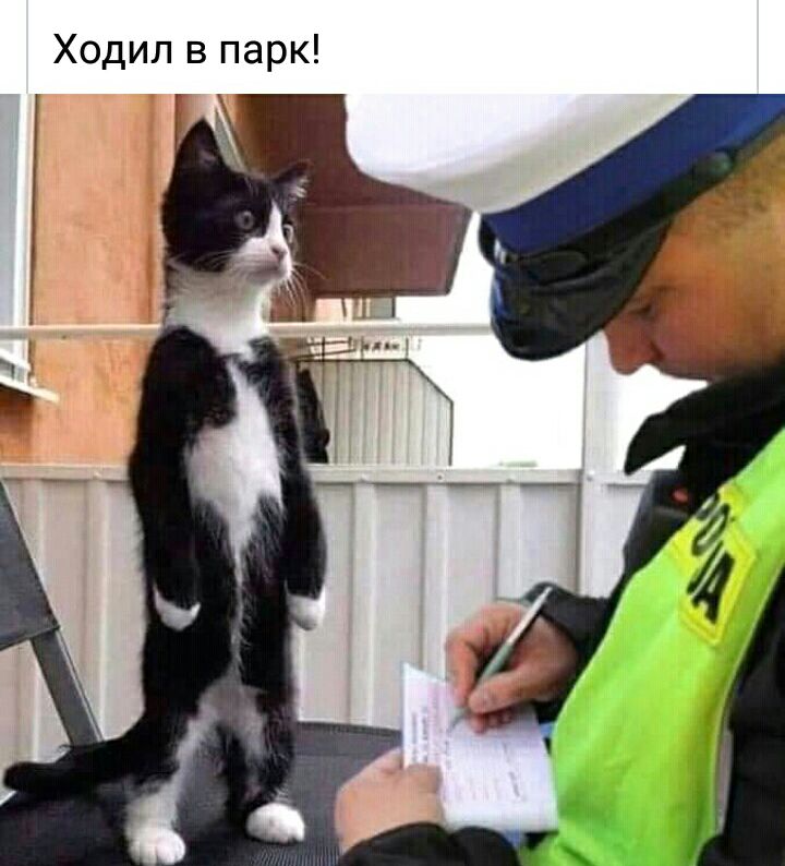 Ходил в парк