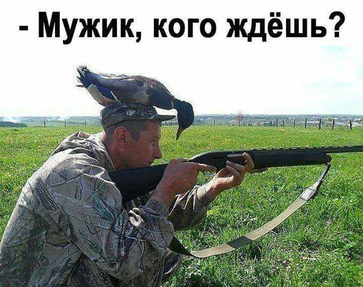 Мужик кого ждёшь