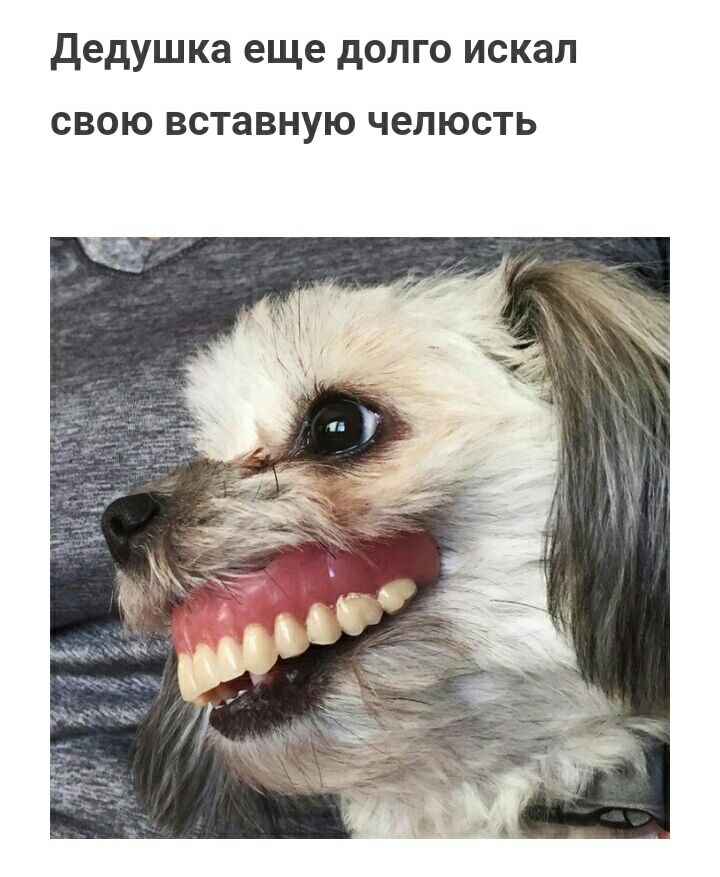 дедушка еще долго искал СВОЮ вставную челюсть