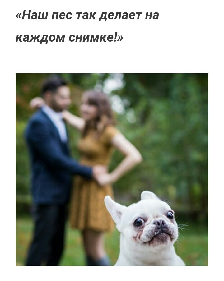 Наш ПЕС ТЭК делает на каждом снимке