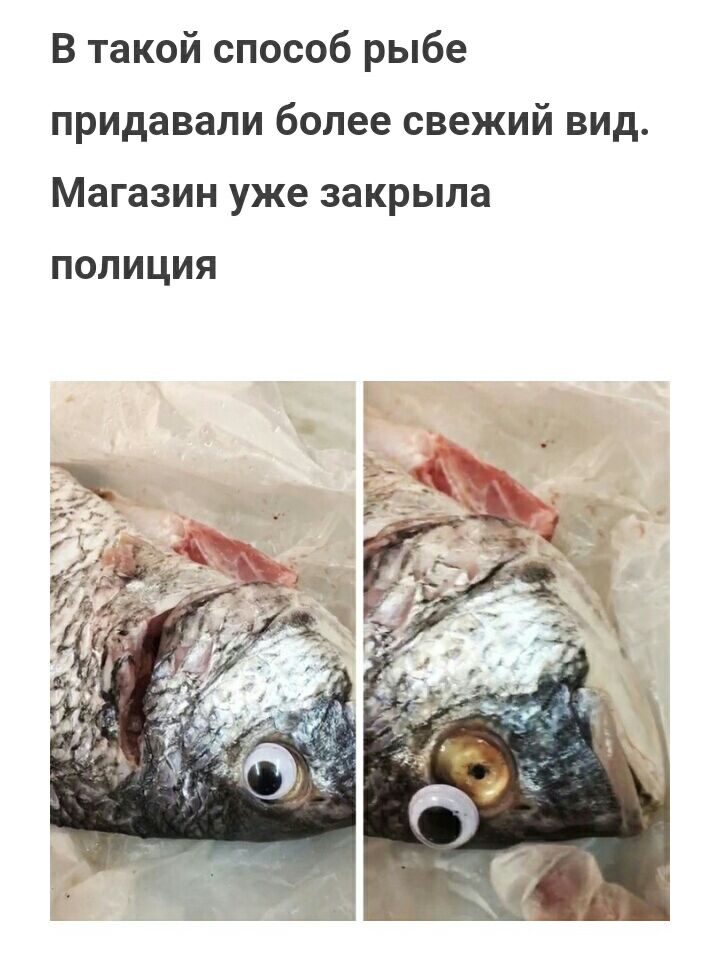 В такой способ рыбе придавали более свежий вид Магазин уже закрыла ПОЛИЦИЯ