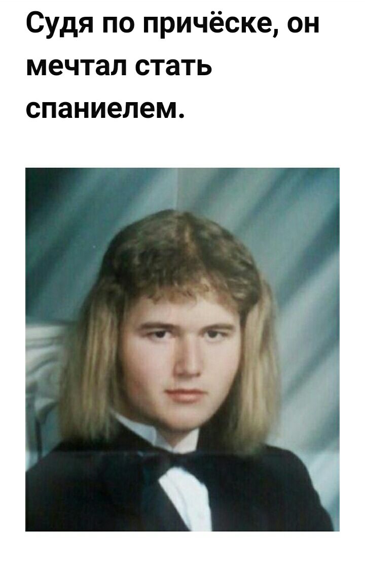 Судя по причёске он мечтал стать спаниелем