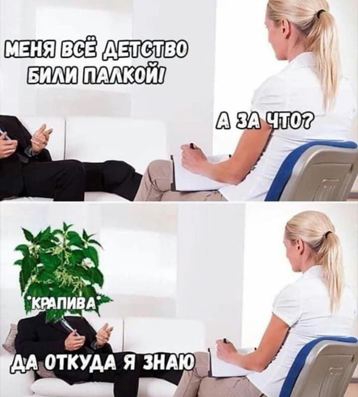 каштаны о