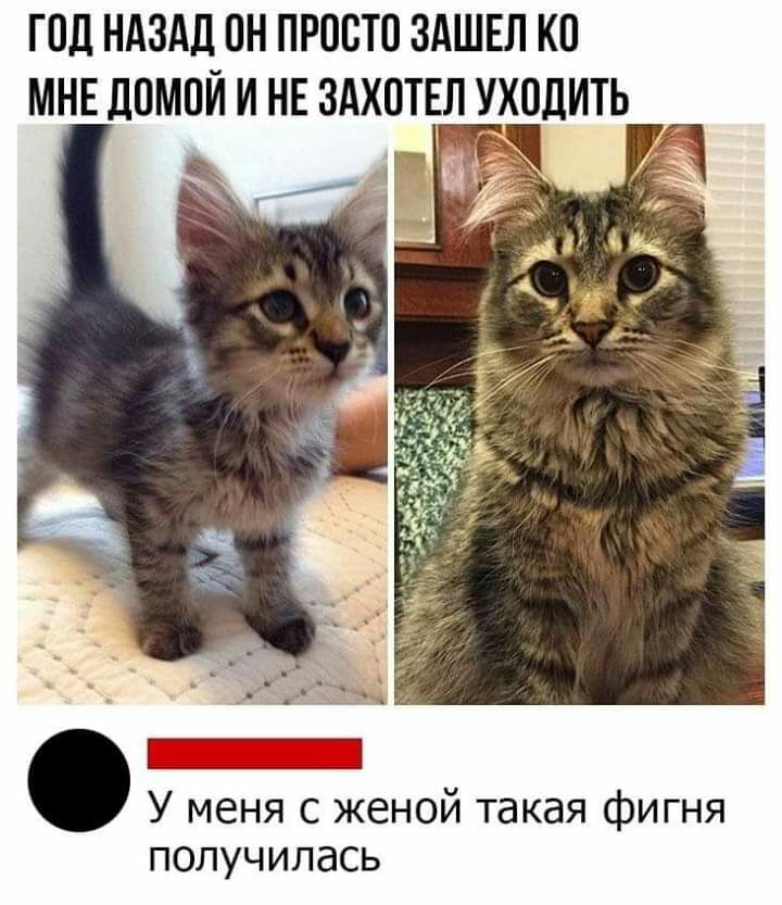 ГПД НАЗАД ПН ПРПВТО ЗАШЕЛ КП МНЕ ДОМОЙ И НЕ ЗАХПТЕЛ УХОДИТЬ У меня с женой такая фигня ПОЛУЧИЛдСЬ