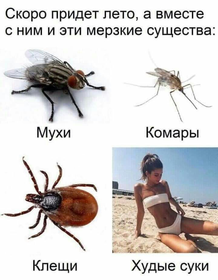 СКОРО придет ПЭТО а вместе С НИМ И ЭТИ мерзкие СУЩЭСТВЭ 1 Клещи Худые суки