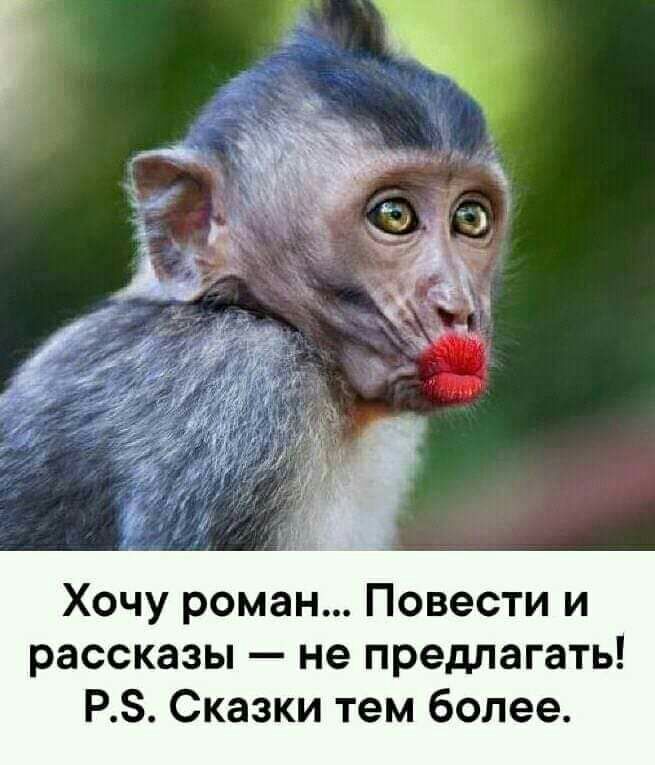 щ Хочу роман Повести и рассказы не предлагать РЗ Сказки тем более