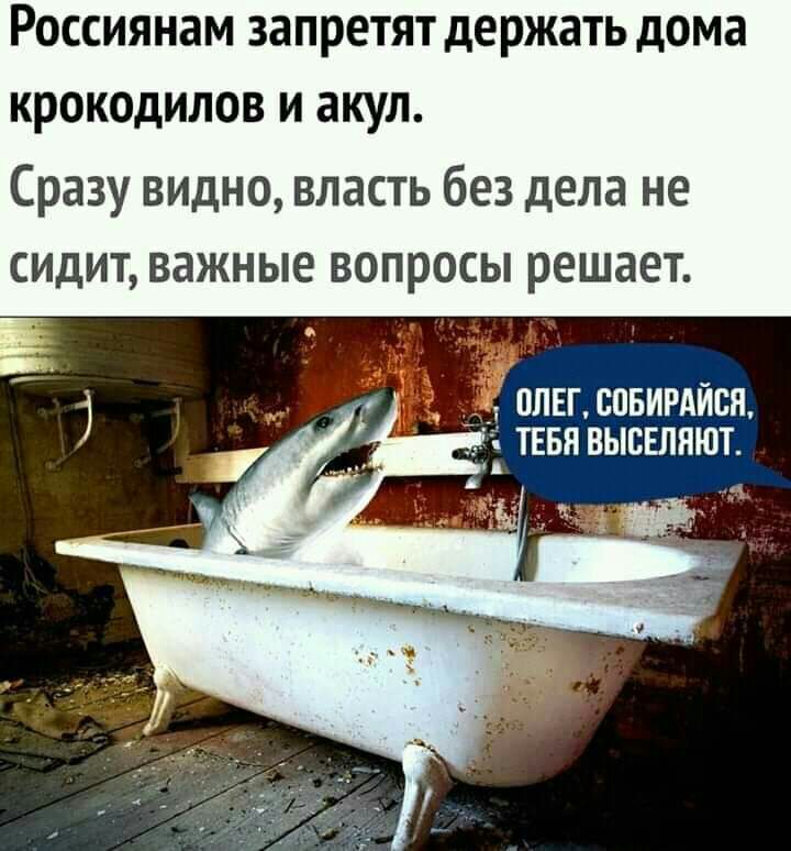 РОССИЯНЗМ запретят держать дома КРОКОДИЛОВ И акул Сразу видно власть без дела не сидит важные вопросы решает олвгспвигдйсн тнвн высыяют