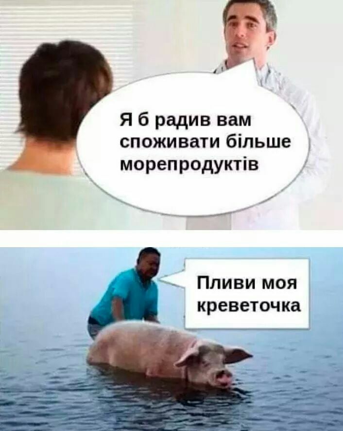 Я б радив вам споживати більше морепродуктів Пливи моя креветочка