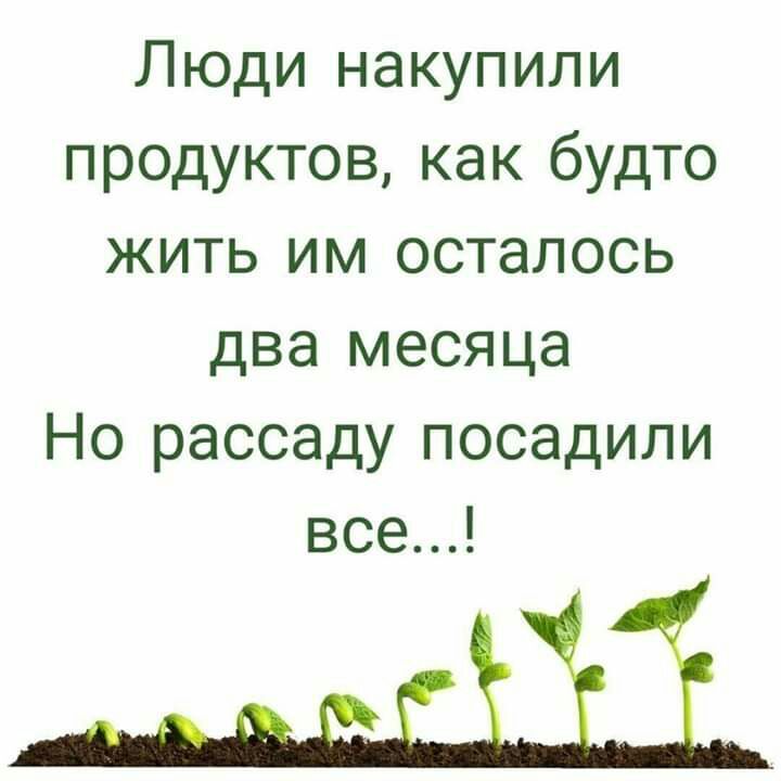 Люди накупили продуктов как будто жить им осталось два месяца Но рассаду посадили все