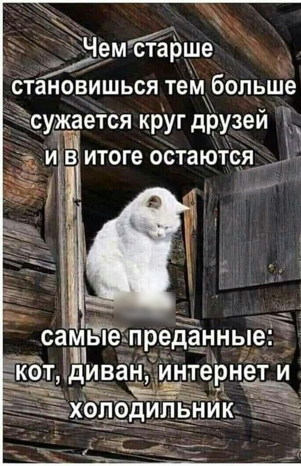 д ЧемЁарше 1 ьсятем больше аеТся круг дРузейЖ витоге оСтаются СЗМ 3 Ы ке дива