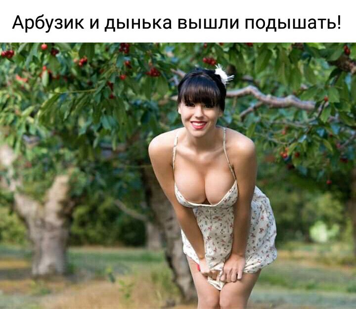 Арбузик и дынька вышли подышать гк 119