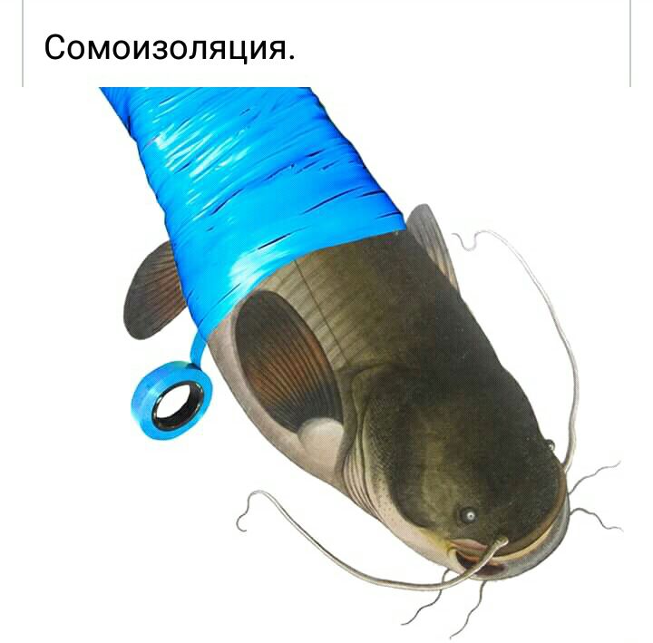 Сомоизоляция