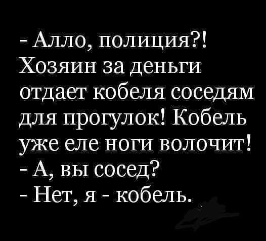 Алло полиция Хозяин за деньги отдает кобеля соседям для прогулок Кобель уже еле ноги волочит А вы сосед Нет я кобель