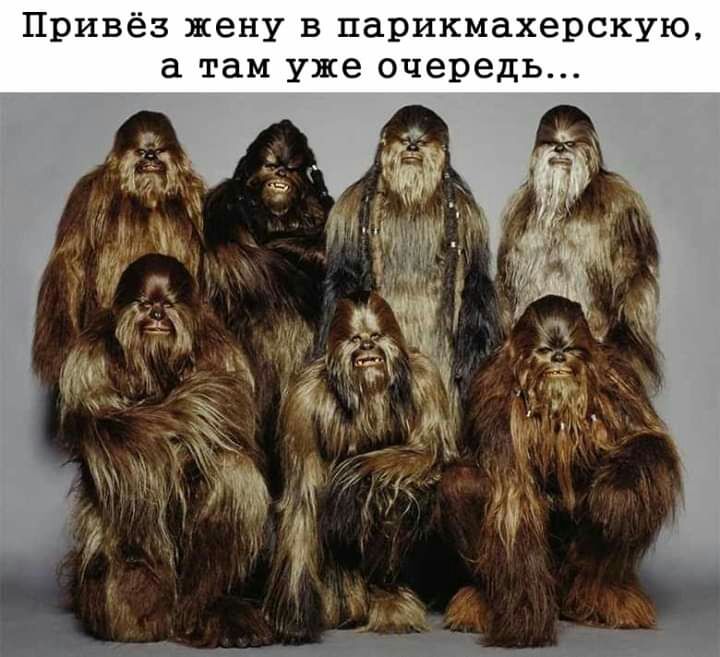 Привёз жену в парикмахерскую там уже очередь