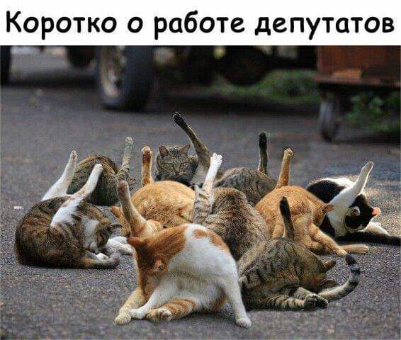 Коротко о работе депутатов _