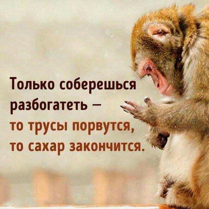 Только соберешьсяс разбогатеть то трусы порвутся то сахар закончится