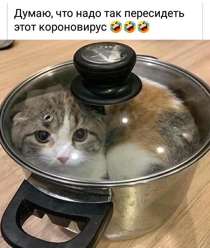Думаю что надо так пересидеть этот короновирус