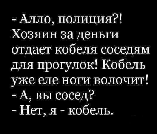 Алло полиция Хозяин за деньги отдает кобеля соседям для прогулок Кобель уже еле ноги волочит А вы сосед Нет я кобель