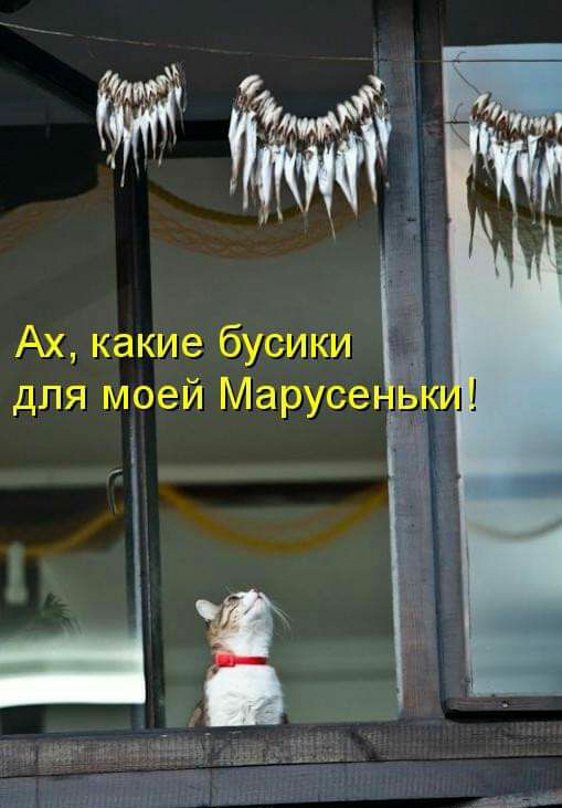 Ах какие бусики для моей Марусе ь кд Ё Е