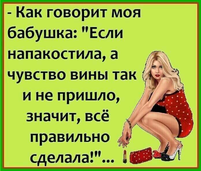 Какговоритмоя бабушка Если напакостилаа чувство вины так к и не пришло значит всё _ правильно сделала