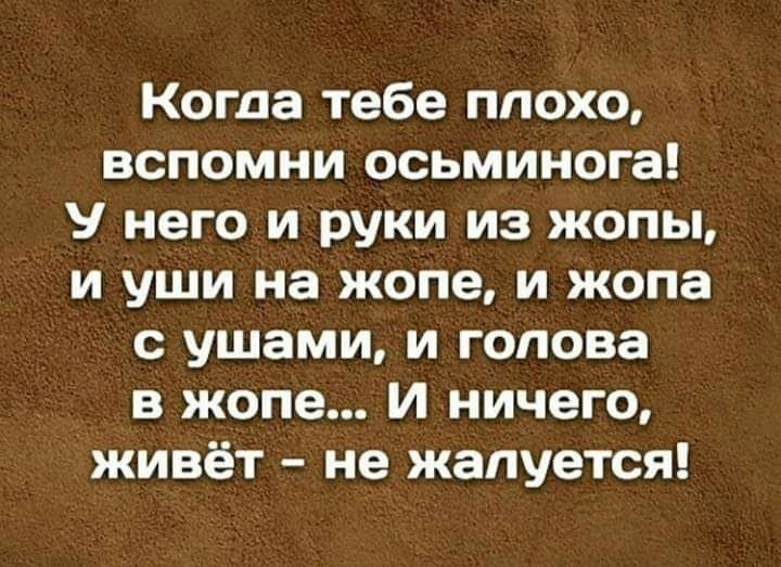 Когда тебе плохо вспомни осьминога У него и руки из жопы и уши на жопе и жопа с ушами и голова в жопе И ничего живёт не жалуется