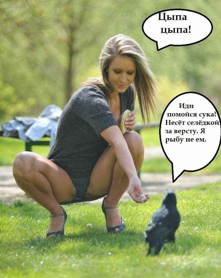 за версту Я рыбу не ем