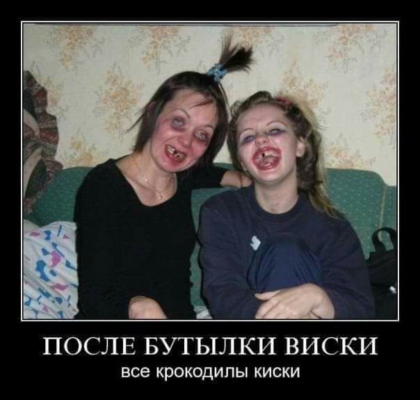 _ а _ ПОСЛЕ БУТЫЛКИ ВИСКИ все крокодилы КИСКИ