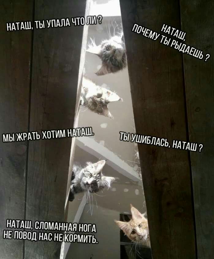 _ _НАТАШ сломднндя ногд Чнвппвод ндс НЕкпрмить и