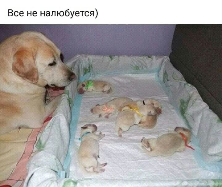 Все не нал юбуется