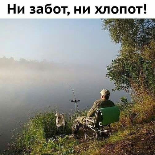 Ни забот ни хлопот