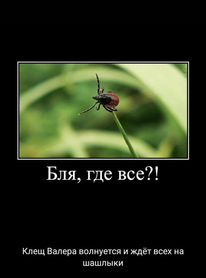 Бля где все Клещ Валера волнуется и ждёт всех на шашлыки