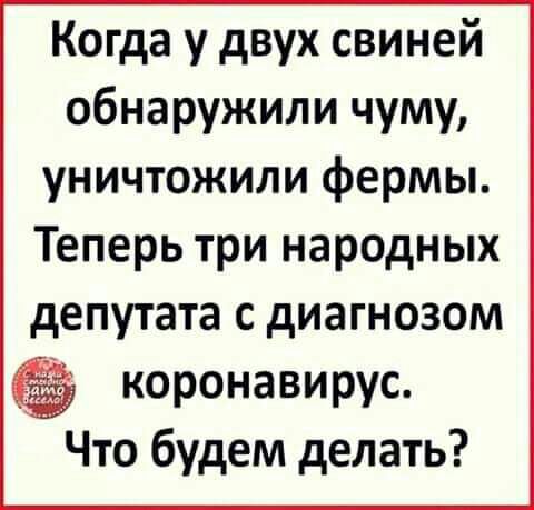Когда у двух свиней обнаружили чуму уничтожили фермы Теперь три народных депутата с диагнозом коронавирус Что будем делать