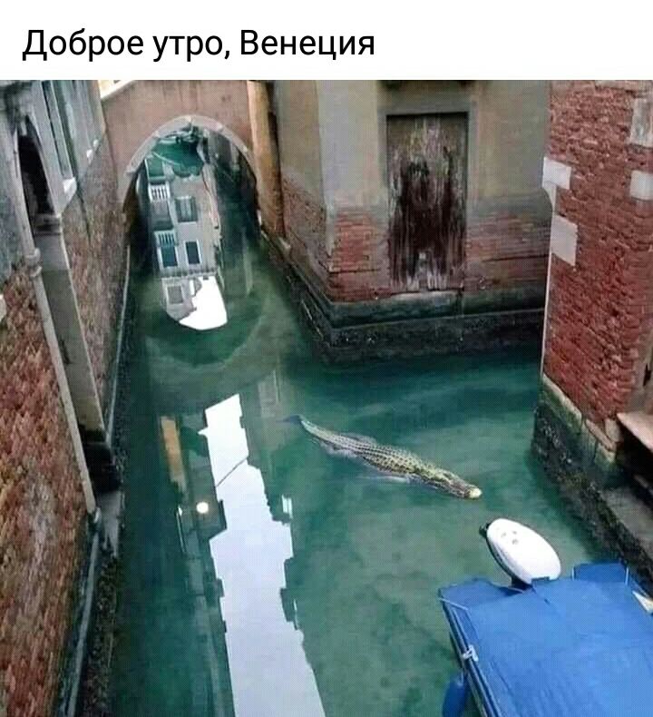 Доброе утро Венеция