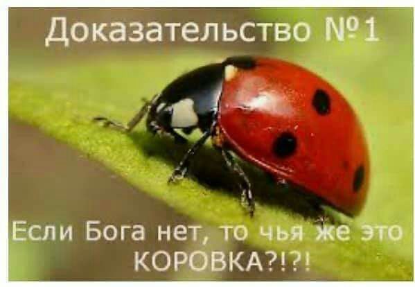 Доказательство 1 Если Бога нет то чья Же это КОРОВКА