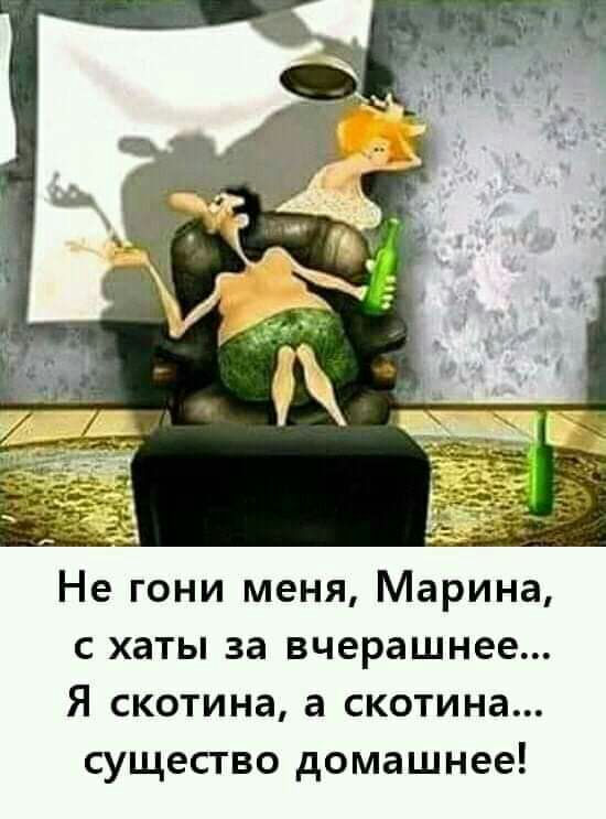 Не гони меня Марина с хаты за вчерашнее Я скотина а скотина существо домашнее