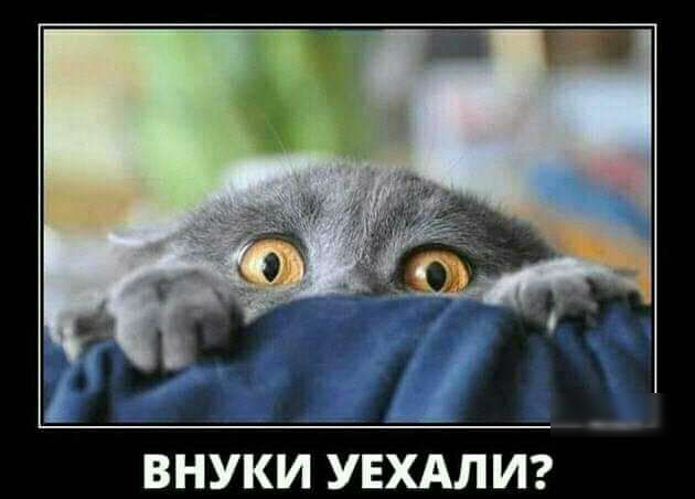 ВНУКИ УЕХАЛ И