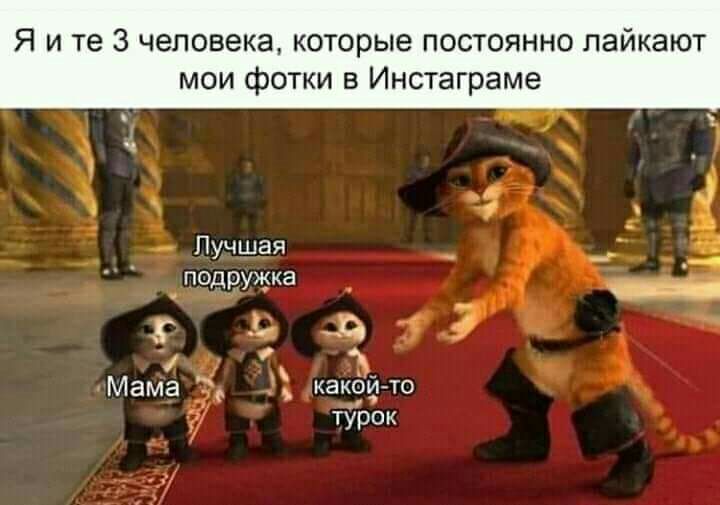 Я и те 3 человека которые постоянно пайкают мои фотки в Инстаграме Лучшая г од _ 34 и Мама ГЗ какой то тУрок