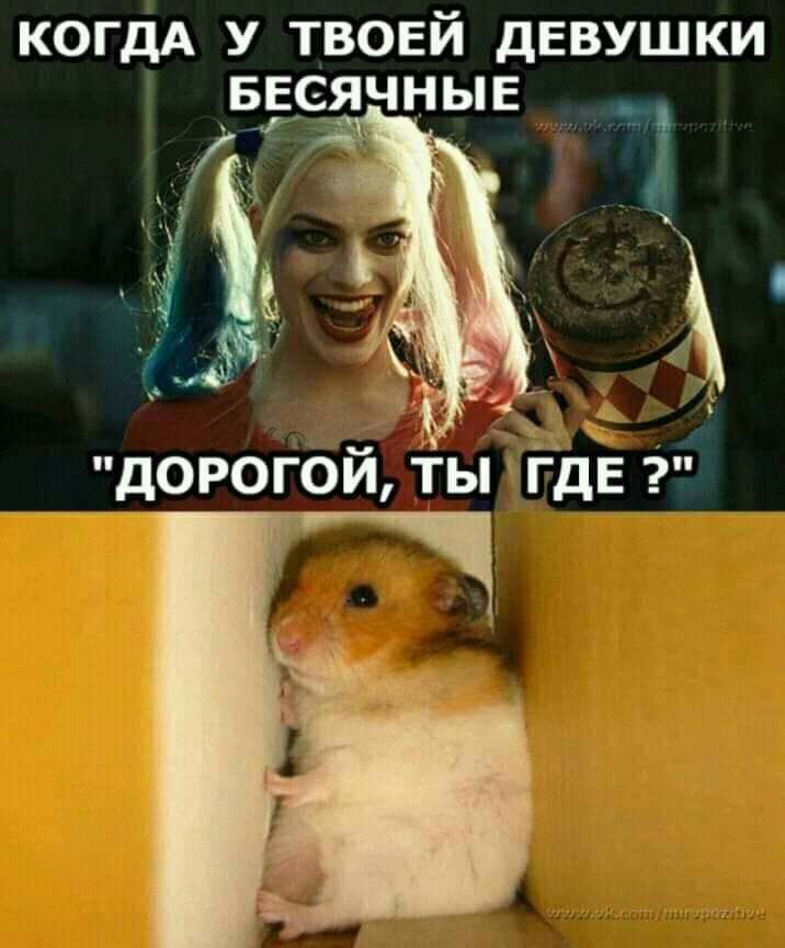 КОГДА У ТВОЕЙ ДЕВУШКИ БЕ ЧНЫЕ _7 _