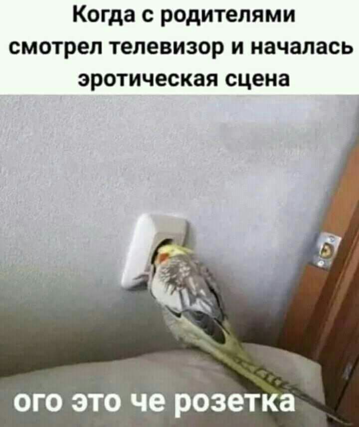 Когда с родителями смотрел телевизор и началась эротическая сцена ОГО ЭТО че РОЗОТКЗ