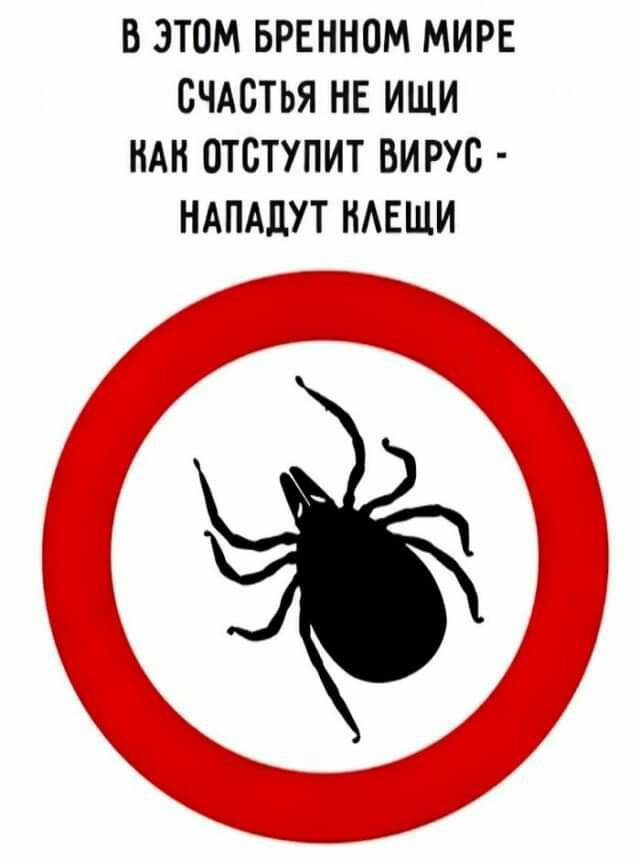 В ЭТОМ БРЕННОМ МИРЕ СЧАСТЬЯ НЕ ИЩИ НАН ОТСТУПИТ ВИРУС НАПАдУТ НАЕЩИ