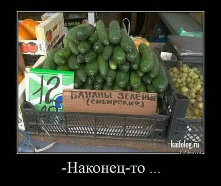 шхны Арманд 535 Наконец то