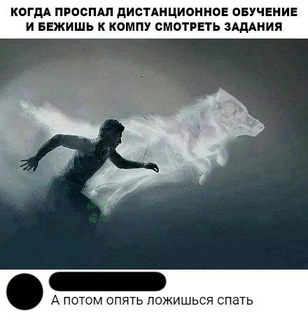 КОГДА ПРООПАП дИсТАНЦИОННОЕ ОБУЧЕНИЕ И БЕЖИШЬ К КОМПУ СМОТРЕТЬ ЗАДАНИЯ А потом ТЬ пожишься спать