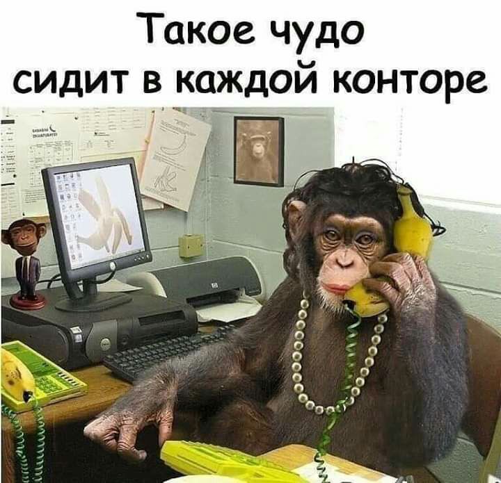 Такое чудо сидит в каждой конторе шь З