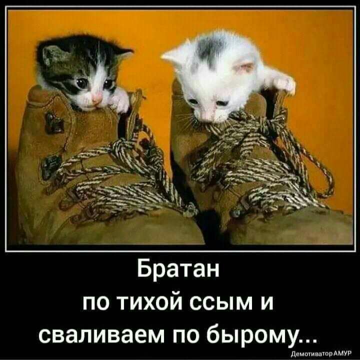 Братан по тихой ссым и сваливаем по бырому димшивмпрАМУР