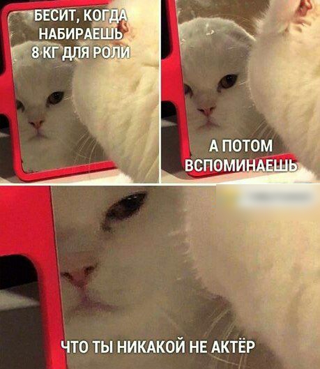 Что ты никдкой нв Актёр