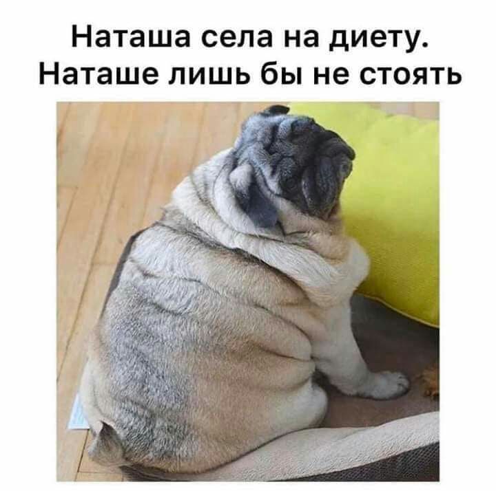 наташа села на диету Наташе лишь бы не стоять