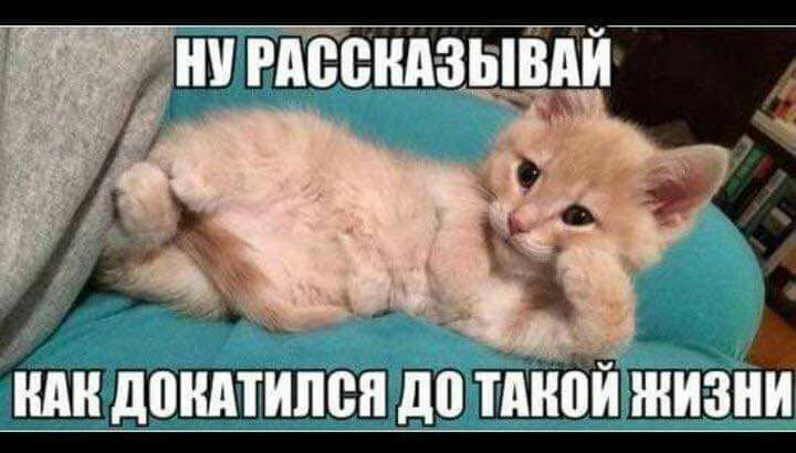 Маштт